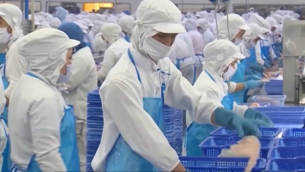 Post-merger agriculture in the Mekong Delta: Strengthening linkages and business competitiveness